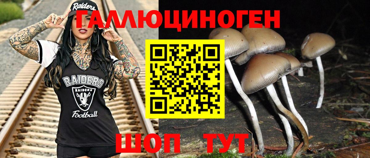 Галлюциногенные грибы Psilocybine cubensis Мирный