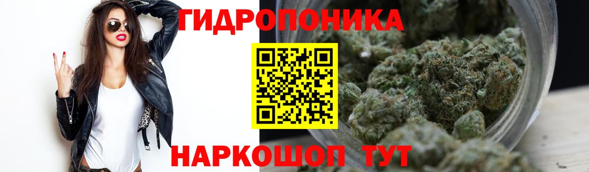 МАРИХУАНА семена Мирный